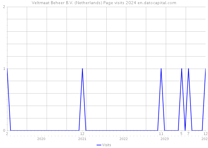 Veltmaat Beheer B.V. (Netherlands) Page visits 2024 