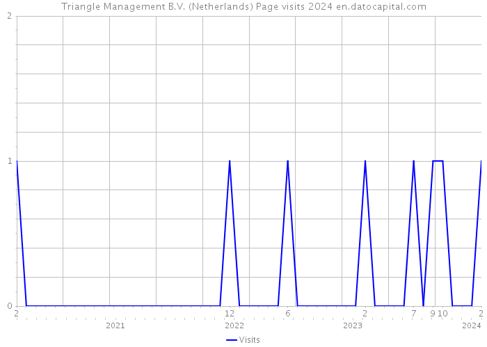 Triangle Management B.V. (Netherlands) Page visits 2024 