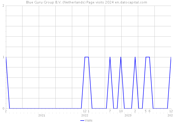 Blue Guru Group B.V. (Netherlands) Page visits 2024 