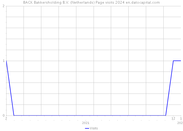 BACK Bakkersholding B.V. (Netherlands) Page visits 2024 