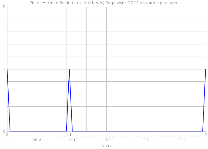 Pieter Harmen Bokkers (Netherlands) Page visits 2024 