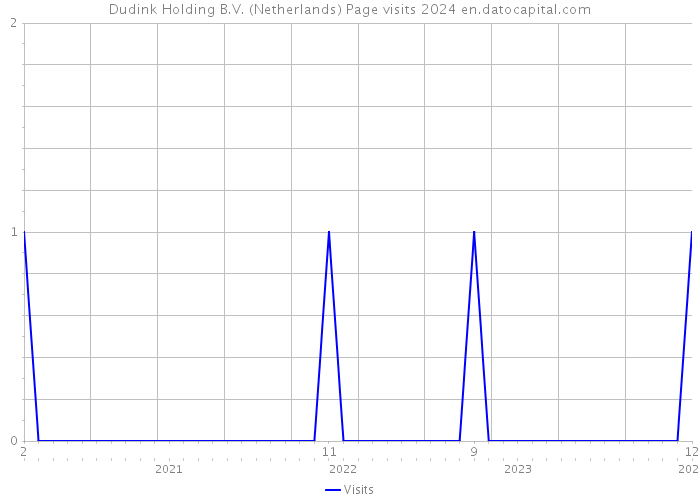 Dudink Holding B.V. (Netherlands) Page visits 2024 