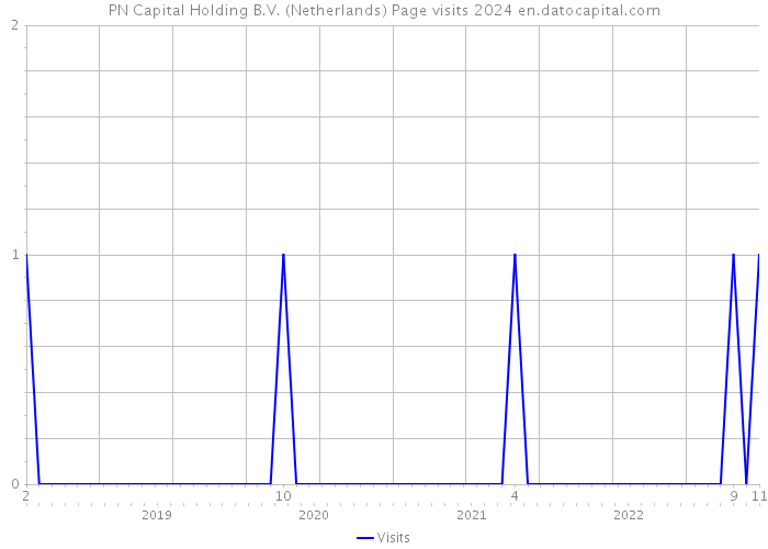 PN Capital Holding B.V. (Netherlands) Page visits 2024 