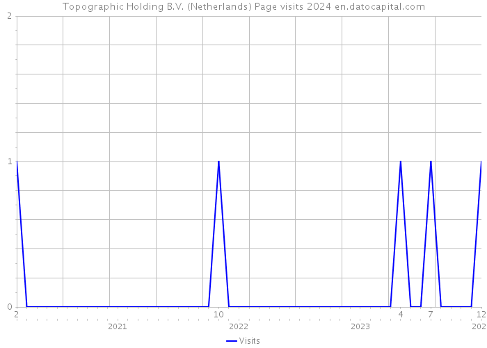 Topographic Holding B.V. (Netherlands) Page visits 2024 