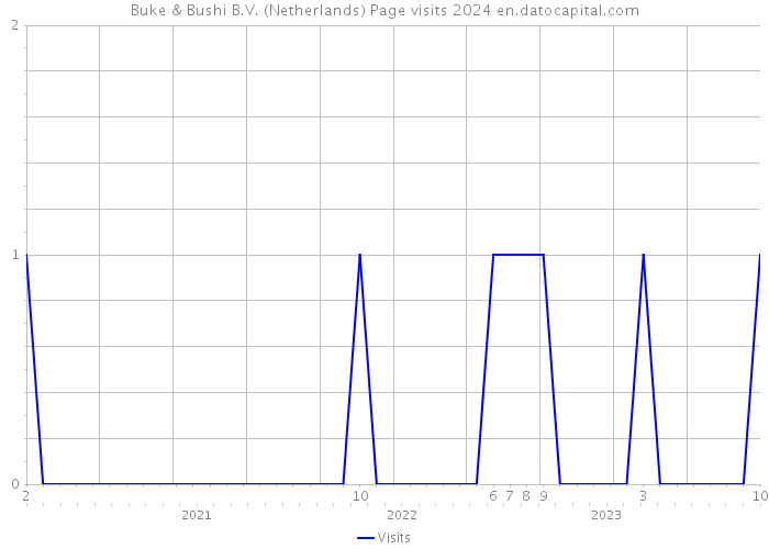 Buke & Bushi B.V. (Netherlands) Page visits 2024 