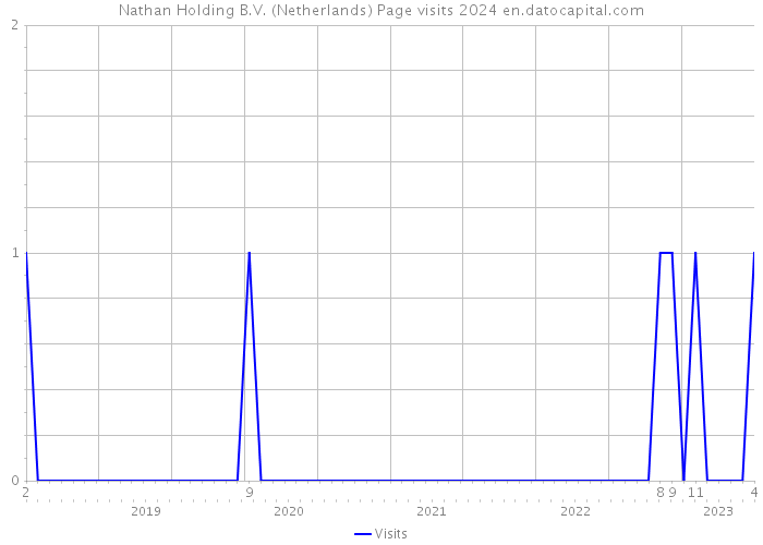 Nathan Holding B.V. (Netherlands) Page visits 2024 