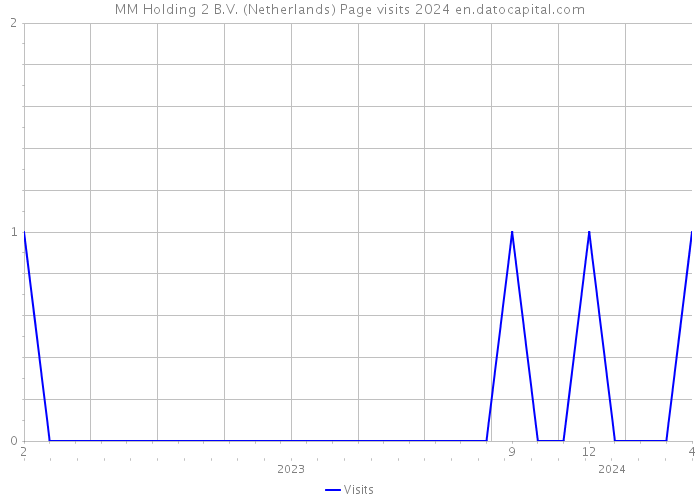 MM Holding 2 B.V. (Netherlands) Page visits 2024 