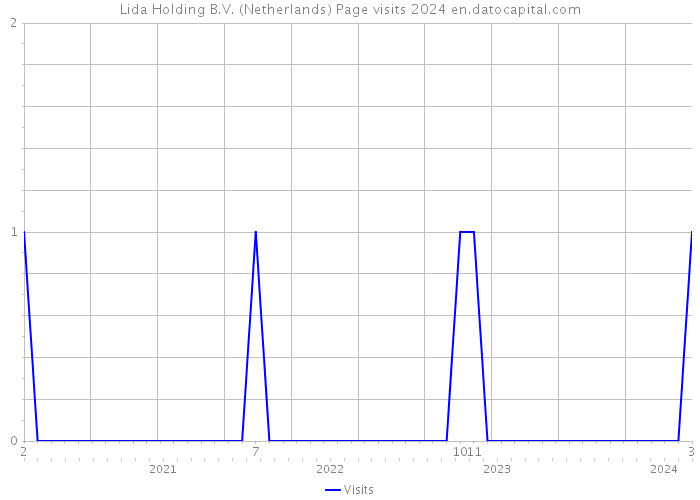 Lida Holding B.V. (Netherlands) Page visits 2024 