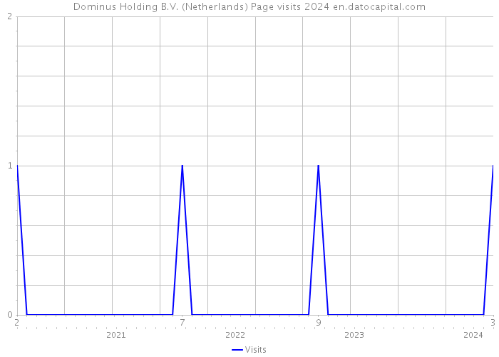 Dominus Holding B.V. (Netherlands) Page visits 2024 