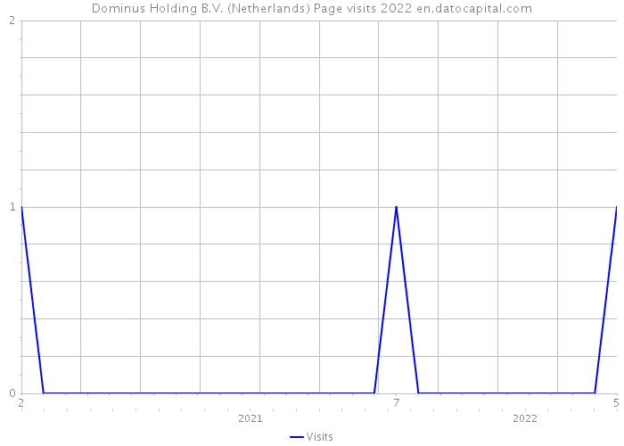 Dominus Holding B.V. (Netherlands) Page visits 2022 