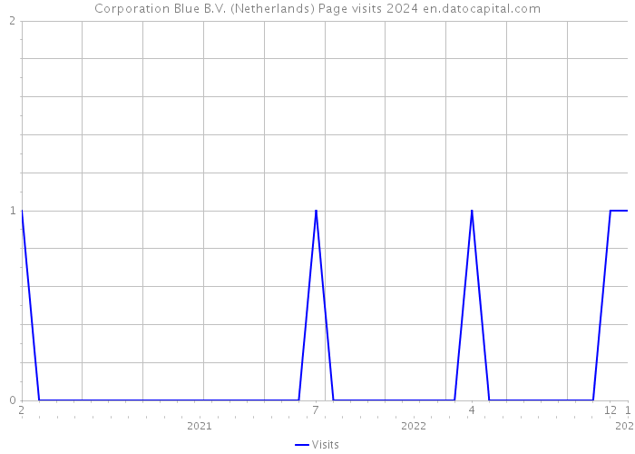 Corporation Blue B.V. (Netherlands) Page visits 2024 