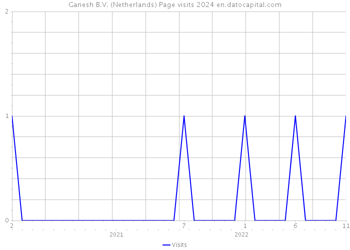 Ganesh B.V. (Netherlands) Page visits 2024 