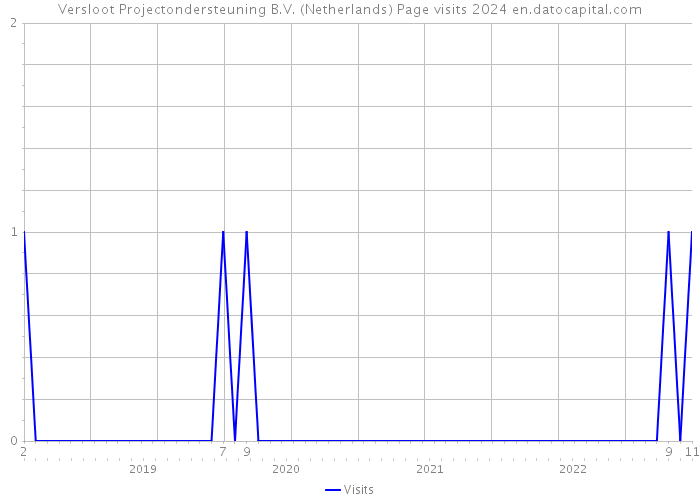 Versloot Projectondersteuning B.V. (Netherlands) Page visits 2024 
