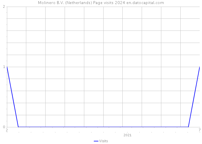 Molinero B.V. (Netherlands) Page visits 2024 