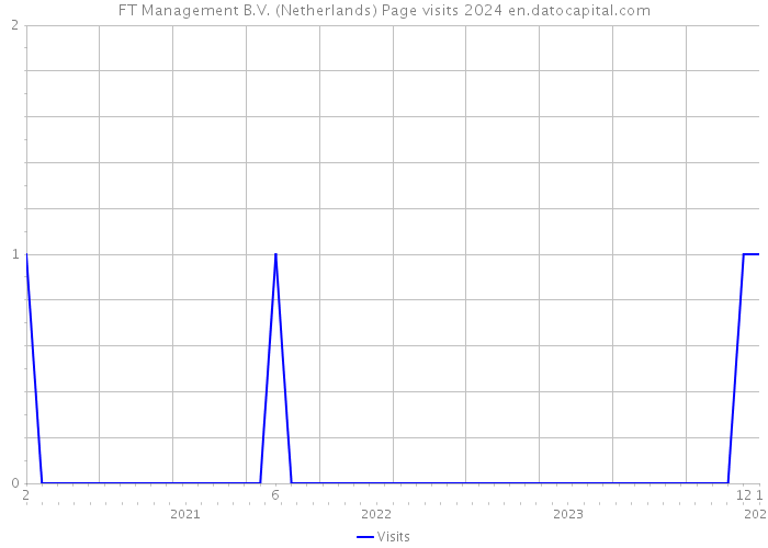 FT Management B.V. (Netherlands) Page visits 2024 