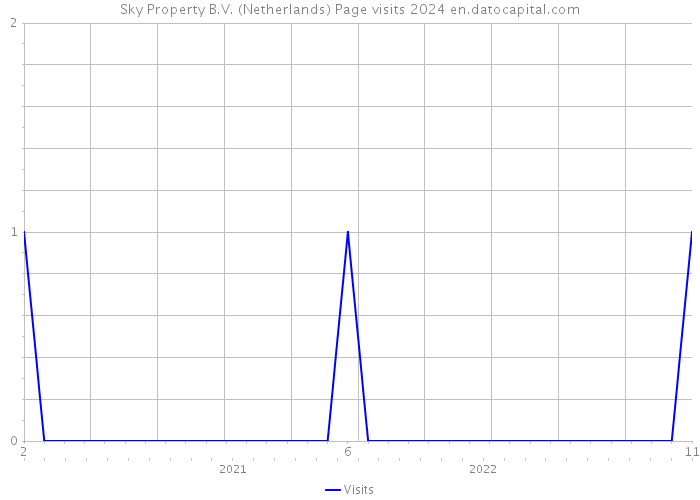 Sky Property B.V. (Netherlands) Page visits 2024 