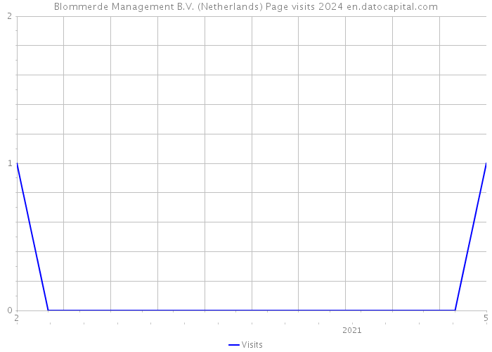Blommerde Management B.V. (Netherlands) Page visits 2024 