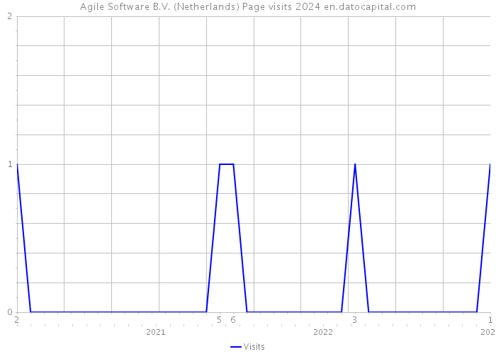 Agile Software B.V. (Netherlands) Page visits 2024 