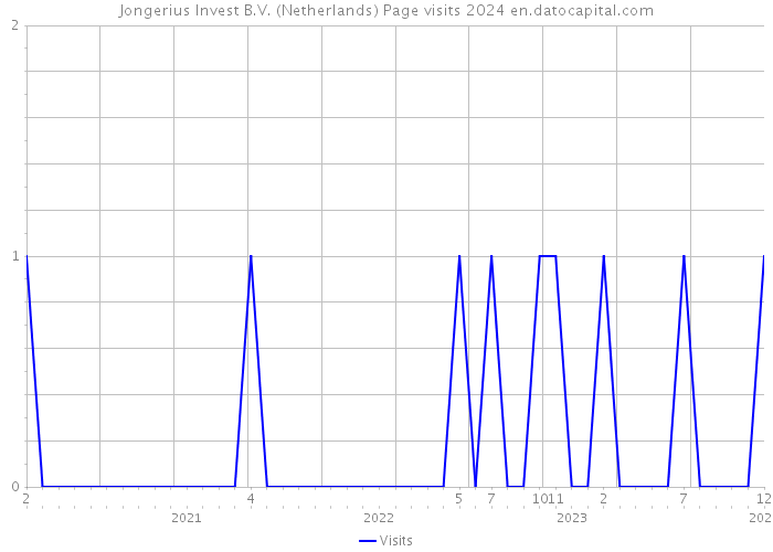 Jongerius Invest B.V. (Netherlands) Page visits 2024 