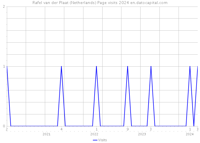 Rafel van der Plaat (Netherlands) Page visits 2024 