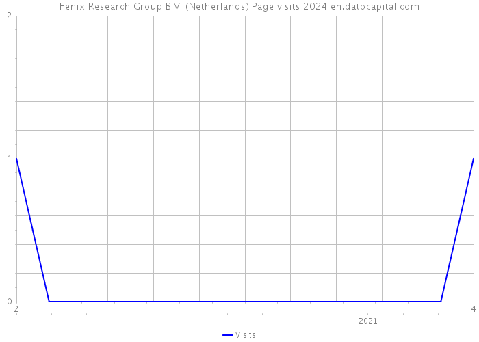 Fenix Research Group B.V. (Netherlands) Page visits 2024 