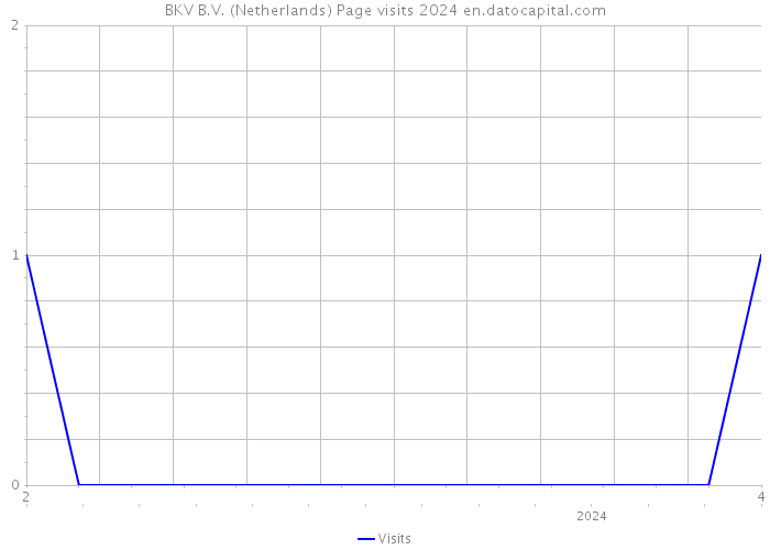 BKV B.V. (Netherlands) Page visits 2024 