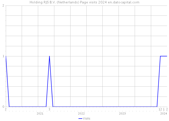 Holding RJS B.V. (Netherlands) Page visits 2024 