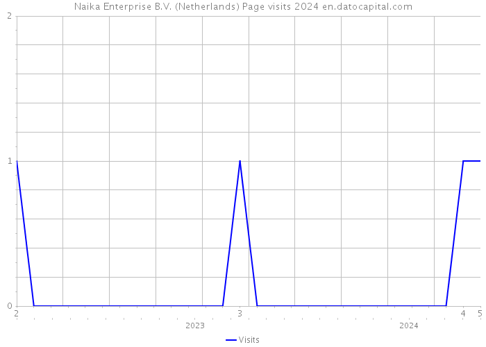 Naika Enterprise B.V. (Netherlands) Page visits 2024 
