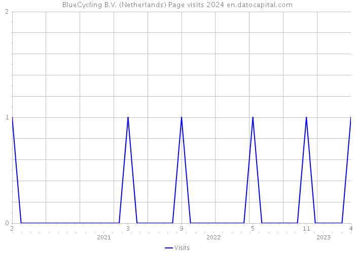 BlueCycling B.V. (Netherlands) Page visits 2024 
