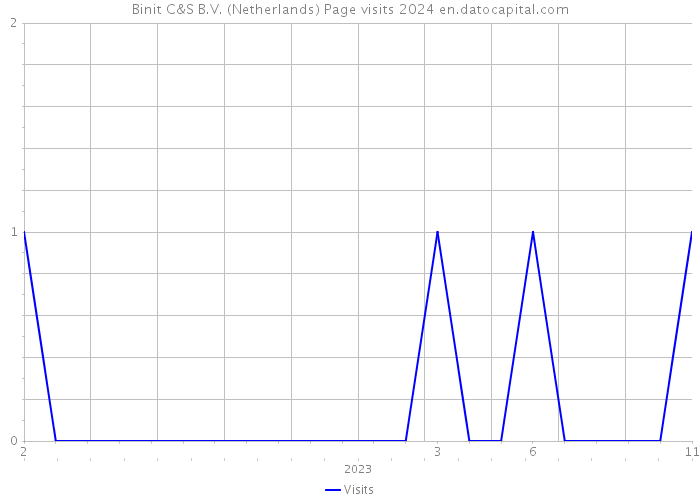 Binit C&S B.V. (Netherlands) Page visits 2024 