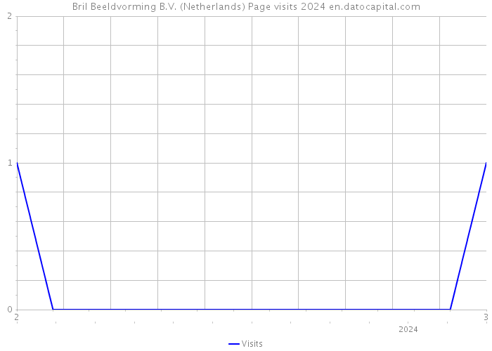 Bril Beeldvorming B.V. (Netherlands) Page visits 2024 
