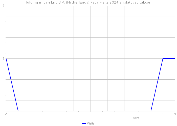 Holding in den Eng B.V. (Netherlands) Page visits 2024 