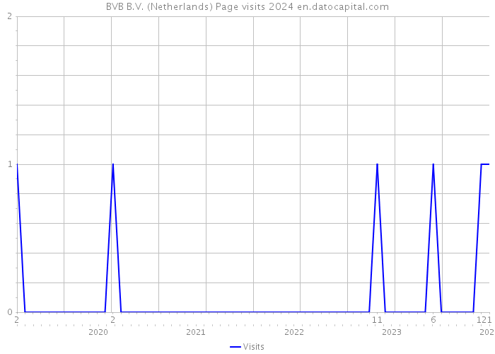 BVB B.V. (Netherlands) Page visits 2024 
