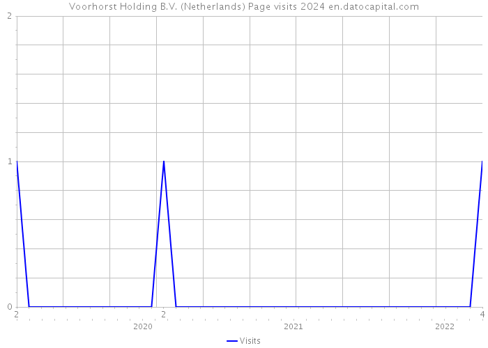 Voorhorst Holding B.V. (Netherlands) Page visits 2024 