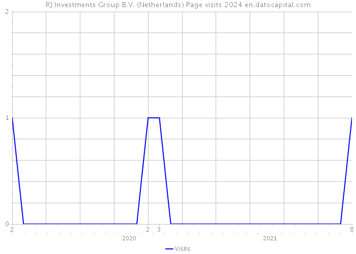 RJ Investments Group B.V. (Netherlands) Page visits 2024 