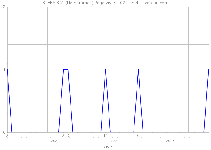 STEBA B.V. (Netherlands) Page visits 2024 
