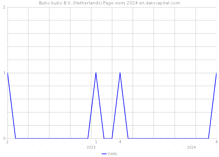 Bubo bubo B.V. (Netherlands) Page visits 2024 
