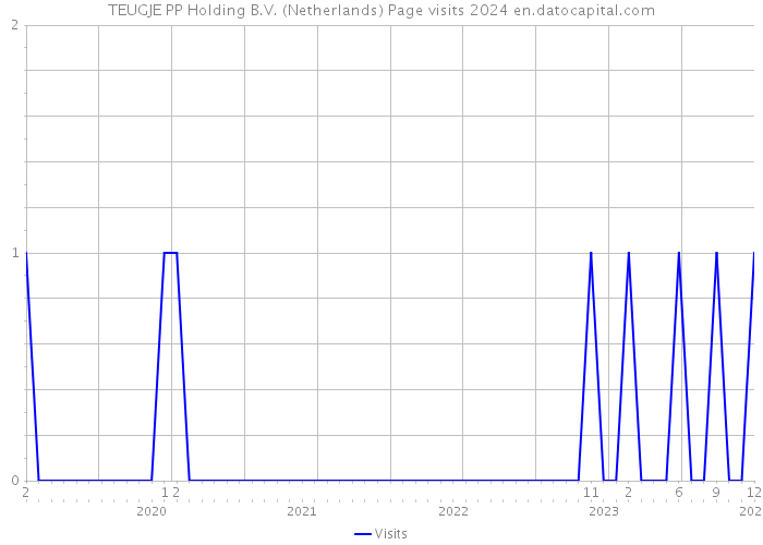TEUGJE PP Holding B.V. (Netherlands) Page visits 2024 