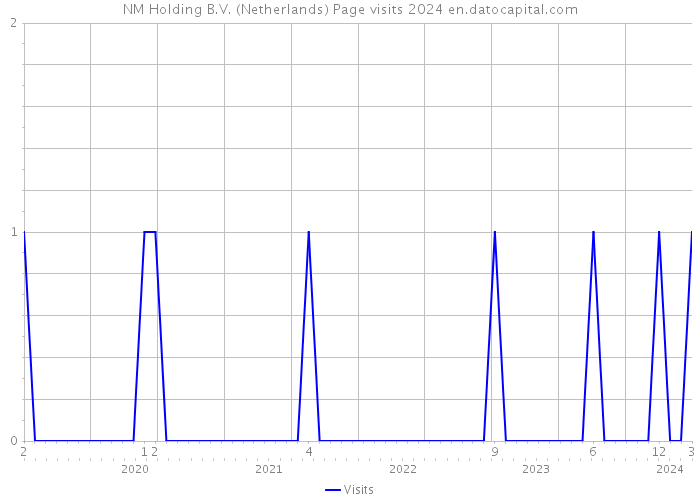 NM Holding B.V. (Netherlands) Page visits 2024 