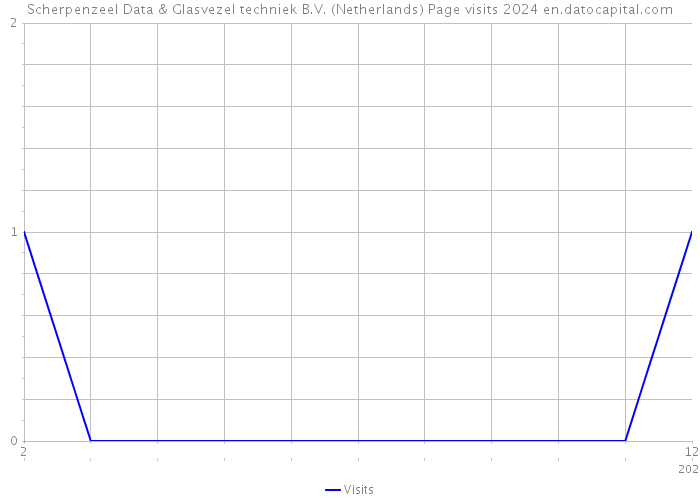 Scherpenzeel Data & Glasvezel techniek B.V. (Netherlands) Page visits 2024 