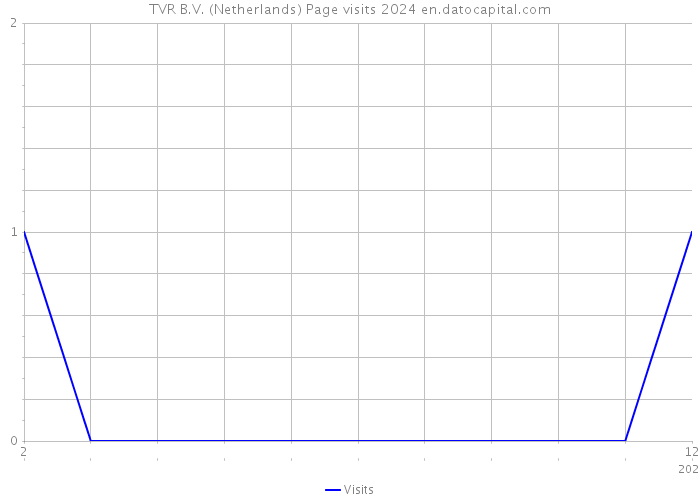 TVR B.V. (Netherlands) Page visits 2024 