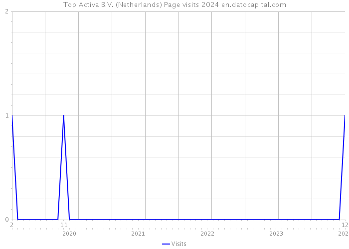 Top Activa B.V. (Netherlands) Page visits 2024 