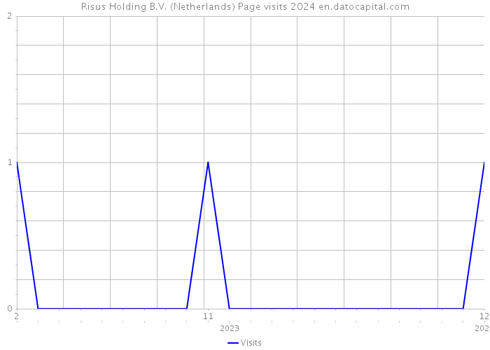Risus Holding B.V. (Netherlands) Page visits 2024 