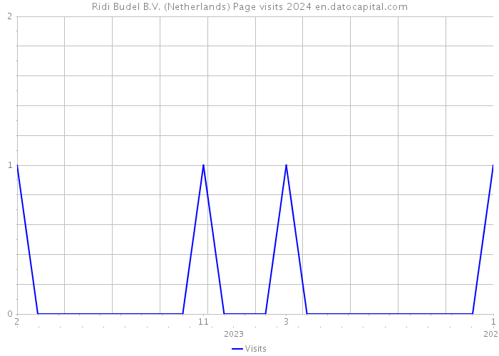 Ridi Budel B.V. (Netherlands) Page visits 2024 