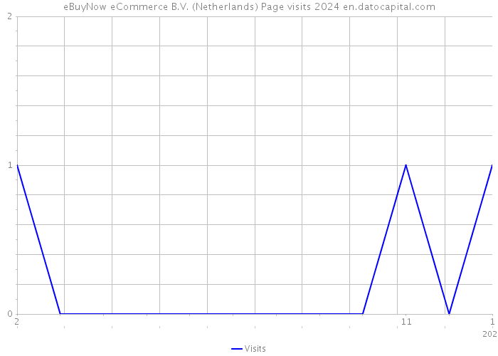eBuyNow eCommerce B.V. (Netherlands) Page visits 2024 