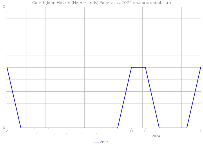 Gareth John Hoskin (Netherlands) Page visits 2024 