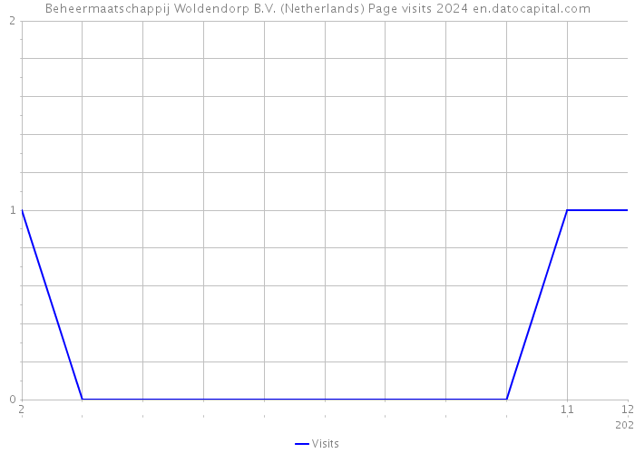 Beheermaatschappij Woldendorp B.V. (Netherlands) Page visits 2024 