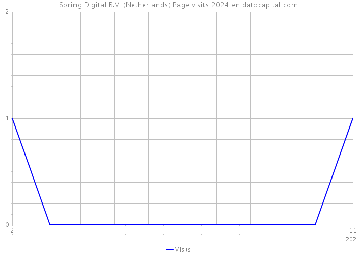 Spring Digital B.V. (Netherlands) Page visits 2024 