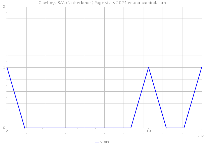 Cowboys B.V. (Netherlands) Page visits 2024 