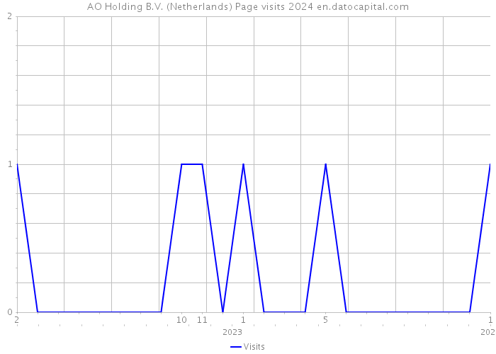 AO Holding B.V. (Netherlands) Page visits 2024 